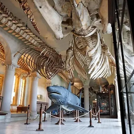 Dinbnb L Historical Building I 100m To Museum Apartment *